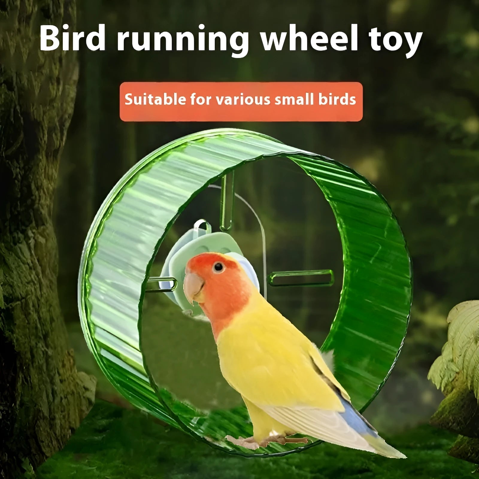 A 21cm diameter plastic parrot running wheel toy in a choice of transparent, green, grey, orange, or purple colours.