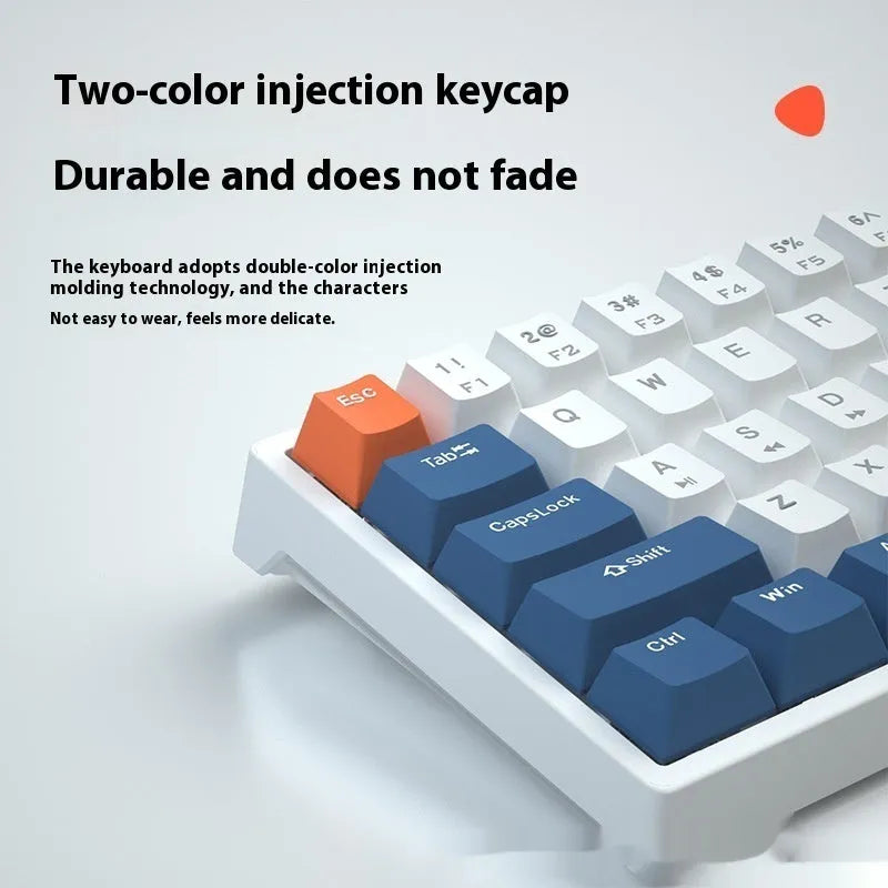 Small 61-key wired mechanical keyboard with hot-swappable sockets and multiple switch options