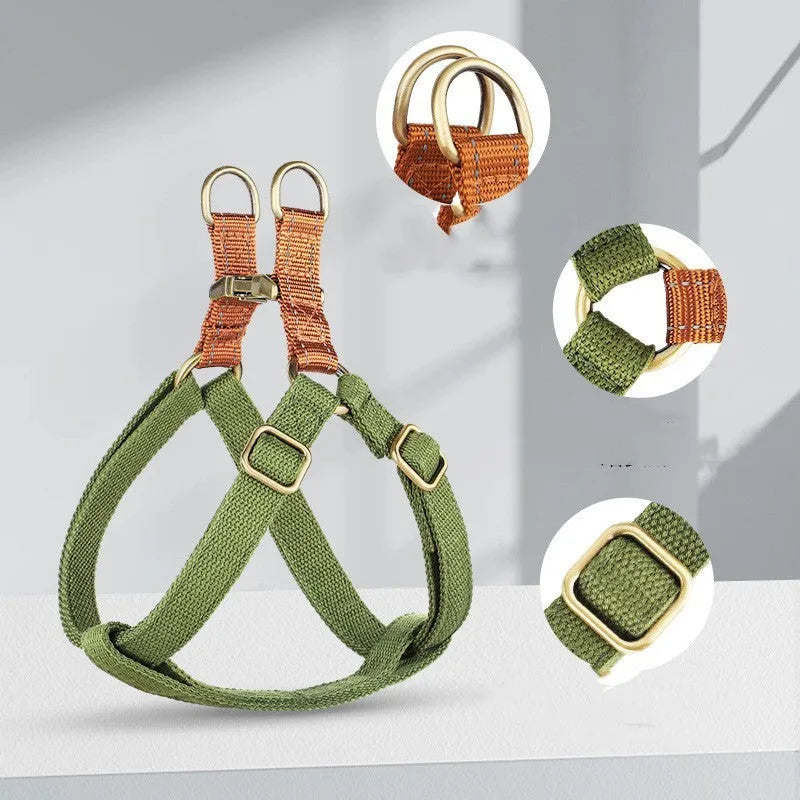 Brown vest-style dog leash with alloy fastener shown on a model dog.