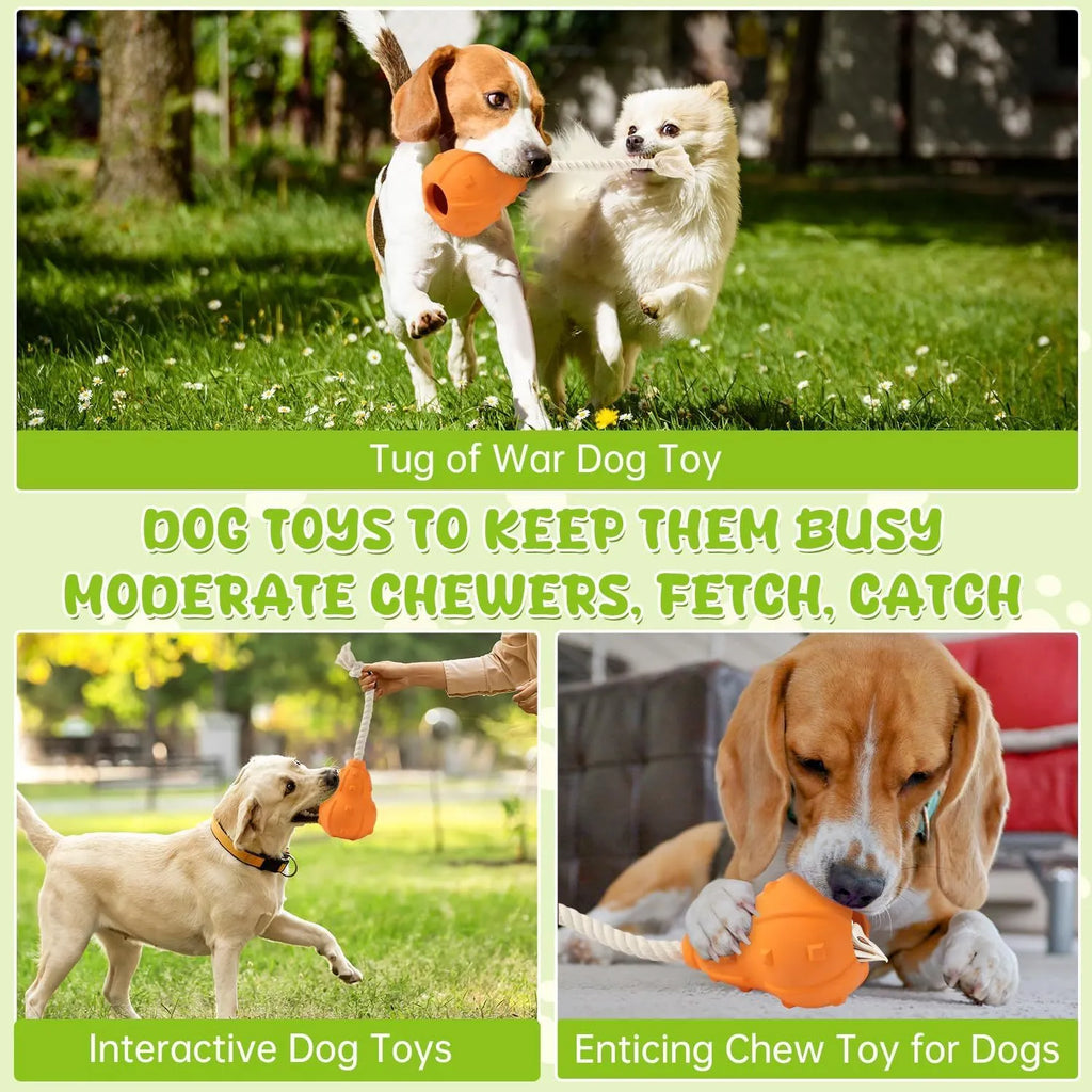 30cm long natural rubber dog toy with hollow treat-dispensing interior and longer tugging strap