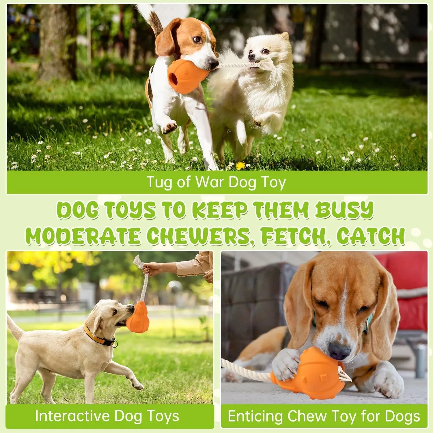 30cm long natural rubber dog toy with hollow treat-dispensing interior and longer tugging strap