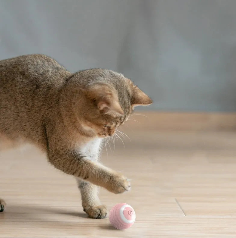 Blue automatic rechargeable self-moving cat toy ball on floor