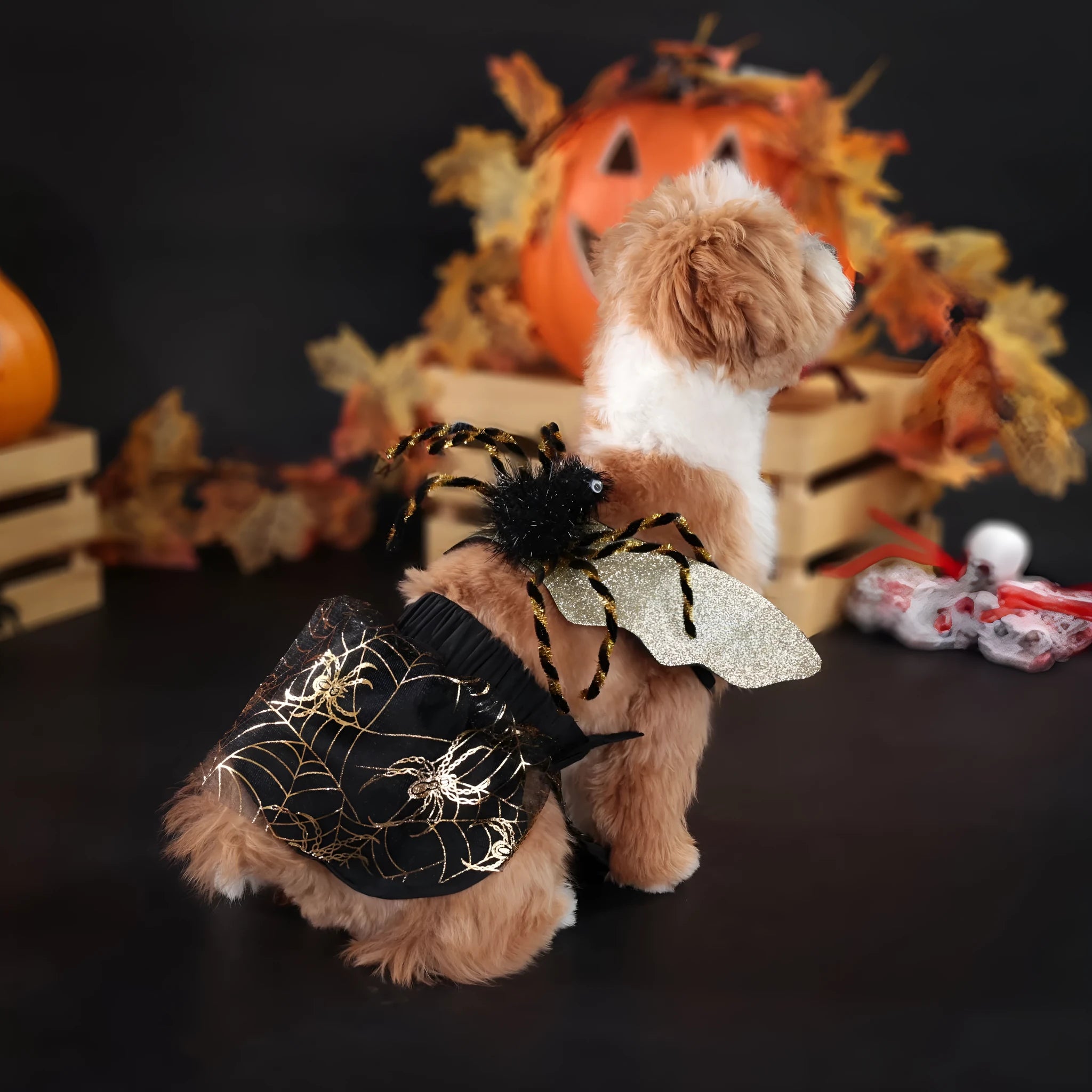 Polyester pet dog costume in suit colour for Halloween and parties, sizes S M L XL