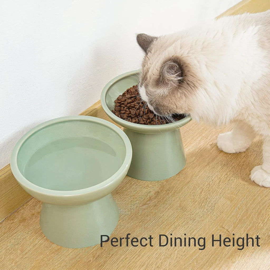 Blue ceramic elevated cat food bowl with wide shallow dish and raised base