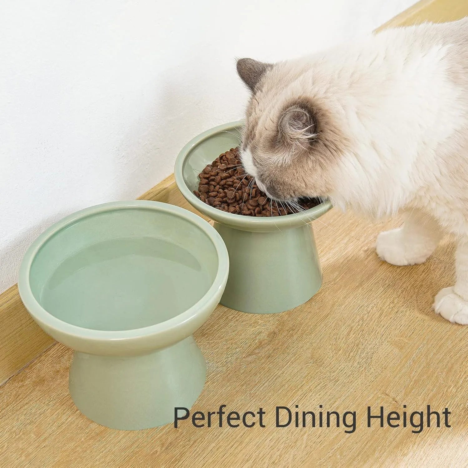Blue ceramic elevated cat food bowl with wide shallow dish and raised base