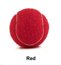 Bite-resistant rubber dog tennis ball toy in assorted colours, 6.3 cm in size.