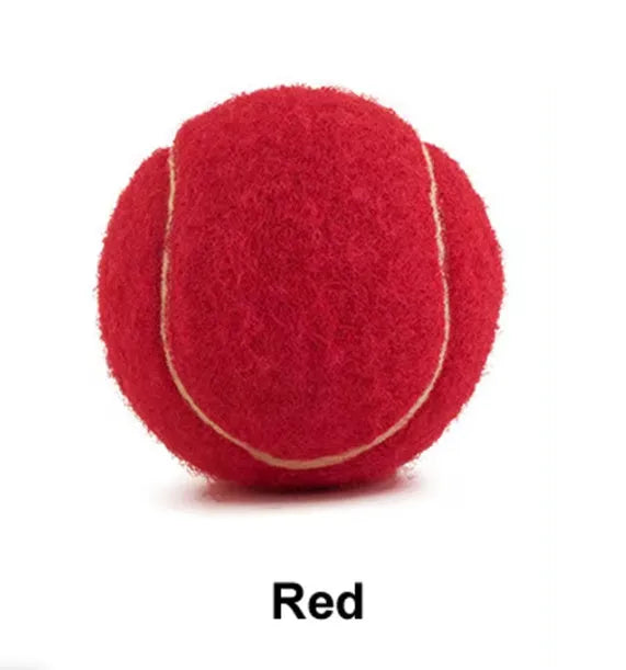 Bite-resistant rubber dog tennis ball toy in assorted colours, 6.3 cm in size.