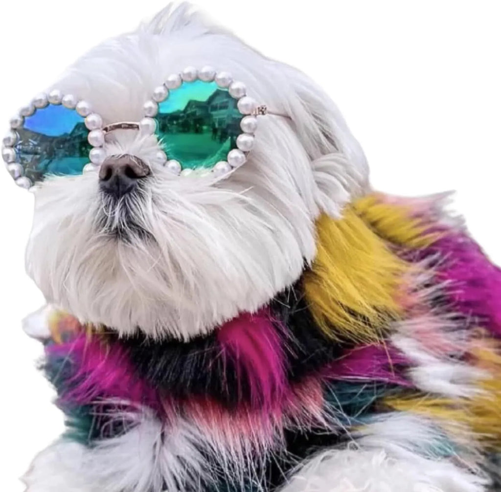 Pearl-rimmed round sunglasses for cats and dogs in five colour options with two size choices