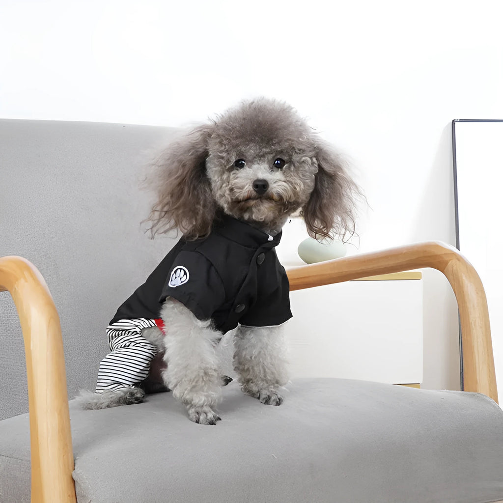 Thin cotton poodle dog clothes in skirt and trouser styles for seasonal wear