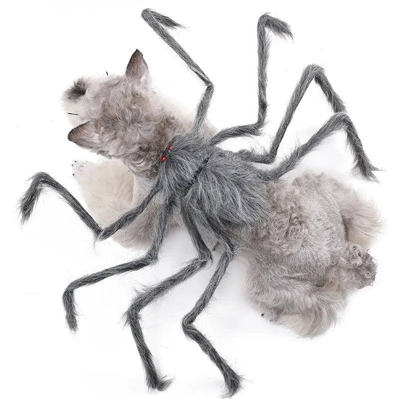Halloween spider costume for pet dog or cat in black and purple colour