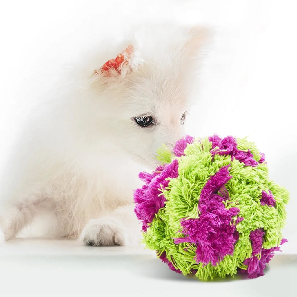 Purple plush dog ball toy with seaweed ball design for teething and interactive play
