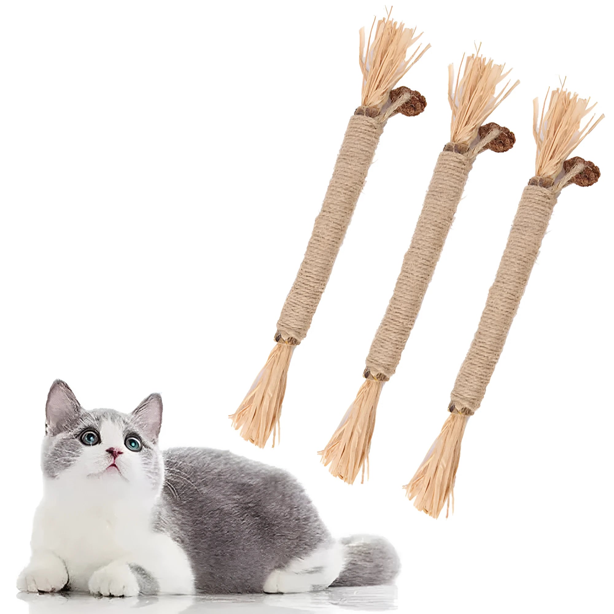 Three natural silvervine chew sticks for cats on wooden surface