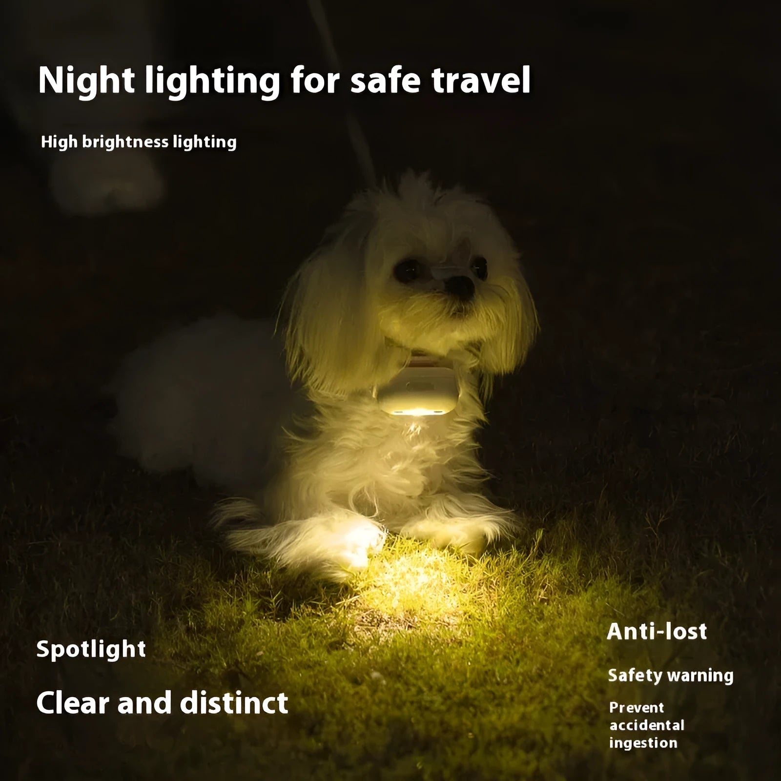 Pet luminous LED collar attachment in four colours with dog patterns