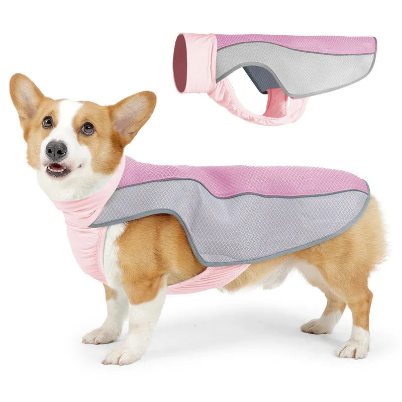 Light grey polyester mesh dog cooling vest on a medium-sized dog outdoors.