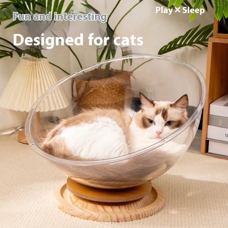 Transparent acrylic cat space capsule bathtub bed or cage on a wooden floor.