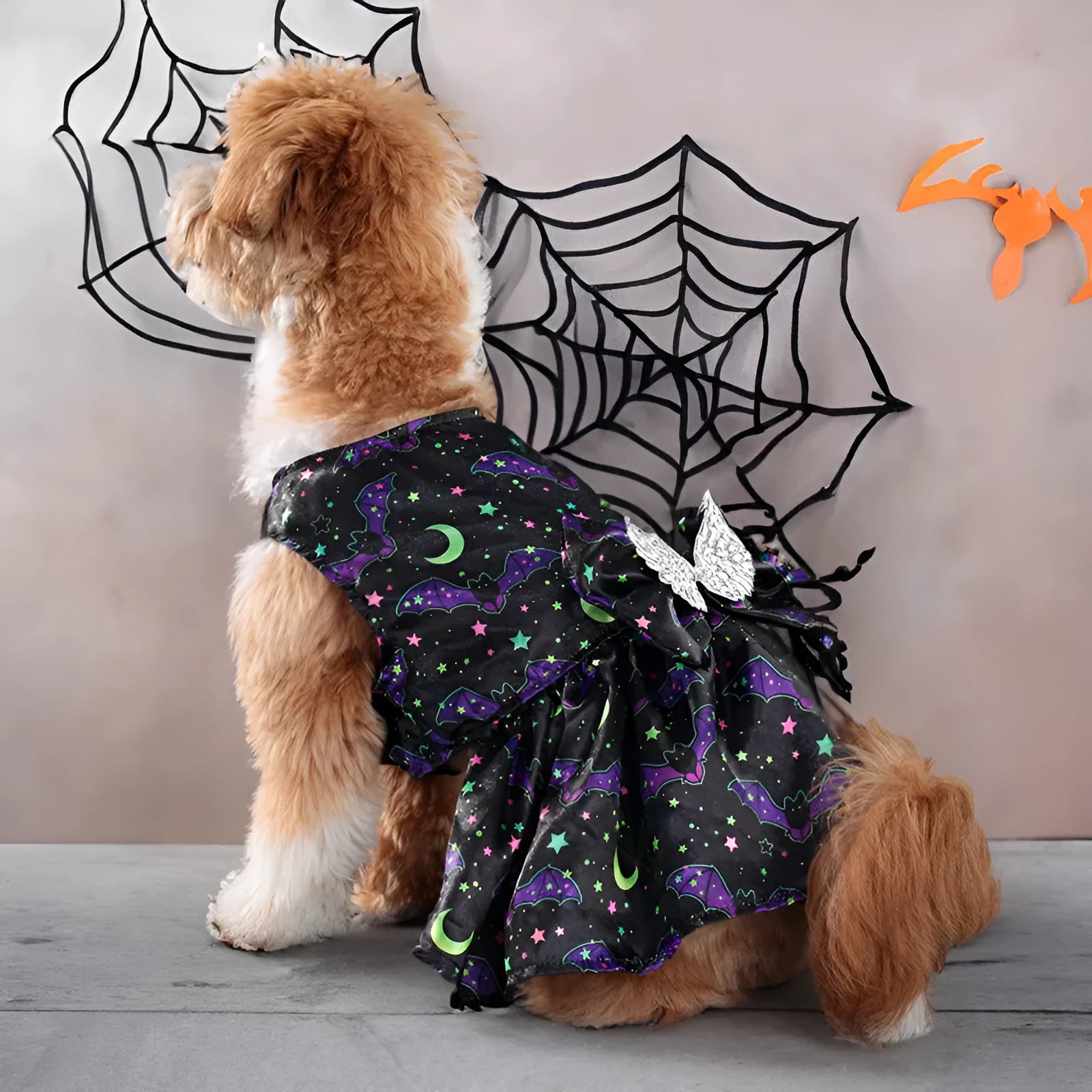 Dog wearing orange angel wings Halloween costume with bright pumpkin colour.