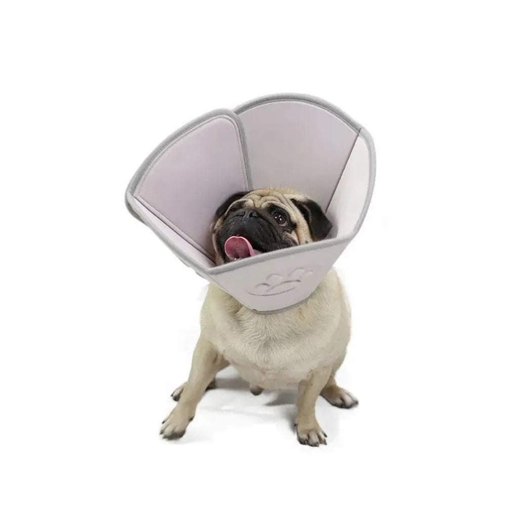 Adjustable soft cone protective collar for cats and dogs in various sizes for post-surgery wound recovery