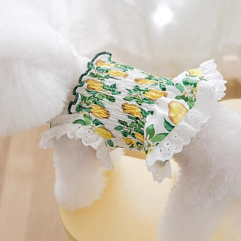 Rock yellow lemon polyester dog dress with adjustable strap skirt in princess style for small dogs