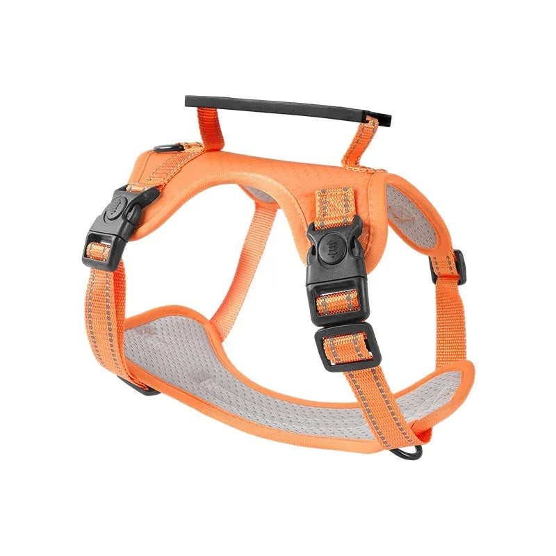 Adjustable polyester dog chest harness and matching lead shown in one of six available colours.