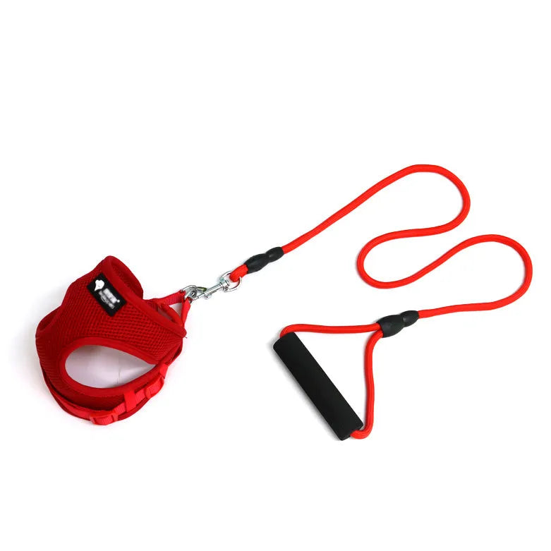 Blue nylon dog leash and adjustable collar with foam handle for small to medium dogs.