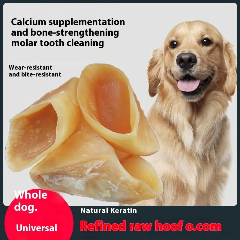 Natural cowhide anti-bite dog chew snack in hoof shell colour with size options for small and large dogs