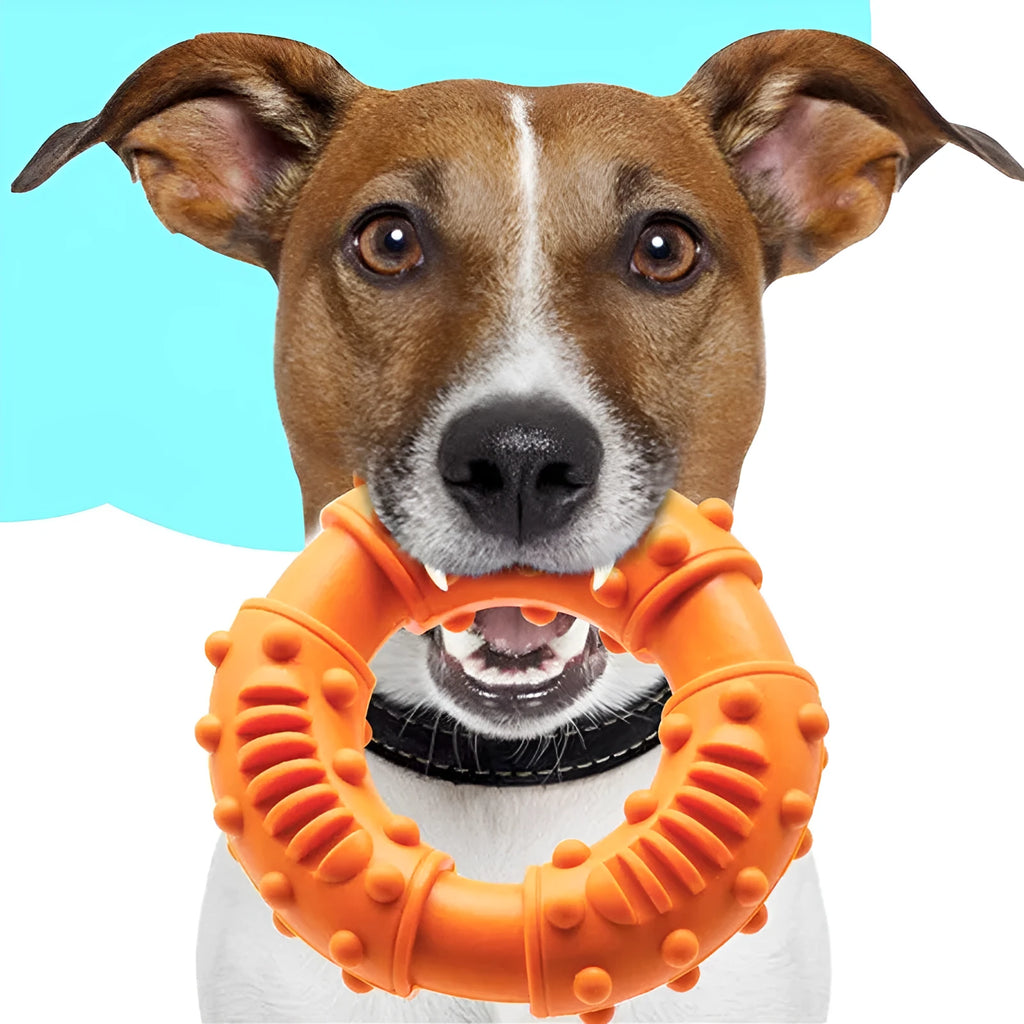 Blue dog fetching stick toy with hollow centre for chewing and lightweight floatable construction