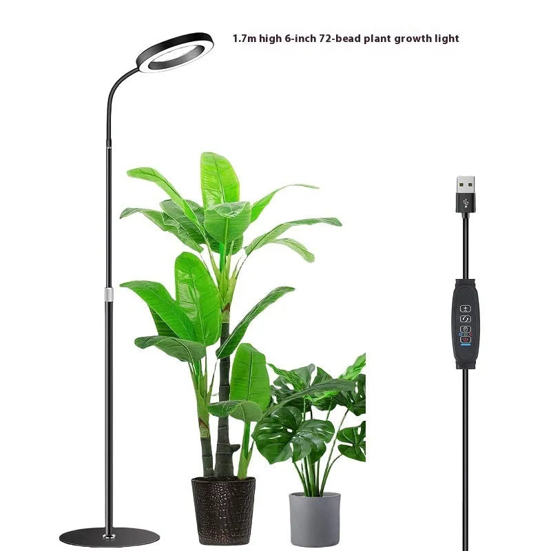 A tall, retractable aluminium floor stand with a 6-inch ring LED plant grow light at the top, positioned next to indoor houseplants.