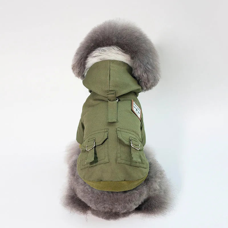 Small dog wearing a grey cotton and wool hooded coat standing on grass