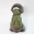Small dog wearing a grey cotton and wool hooded coat standing on grass