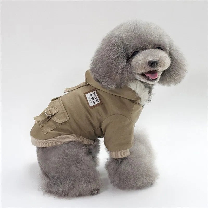 Small dog wearing a grey cotton and wool hooded coat standing on grass