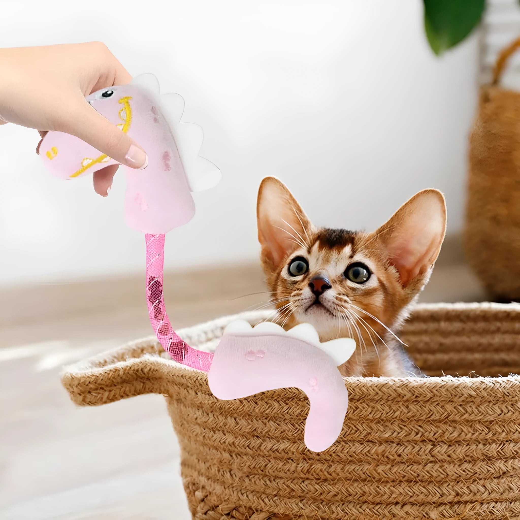Set of four cat toys including plush fish, bunny, mouse shapes with rope toys and springs