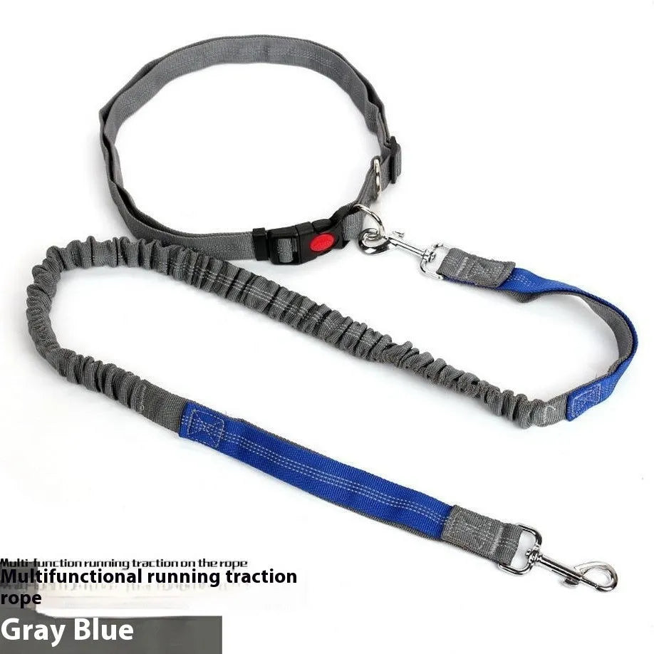 Reflective nylon dog leash with elastic sling in multiple colour options for outdoor running