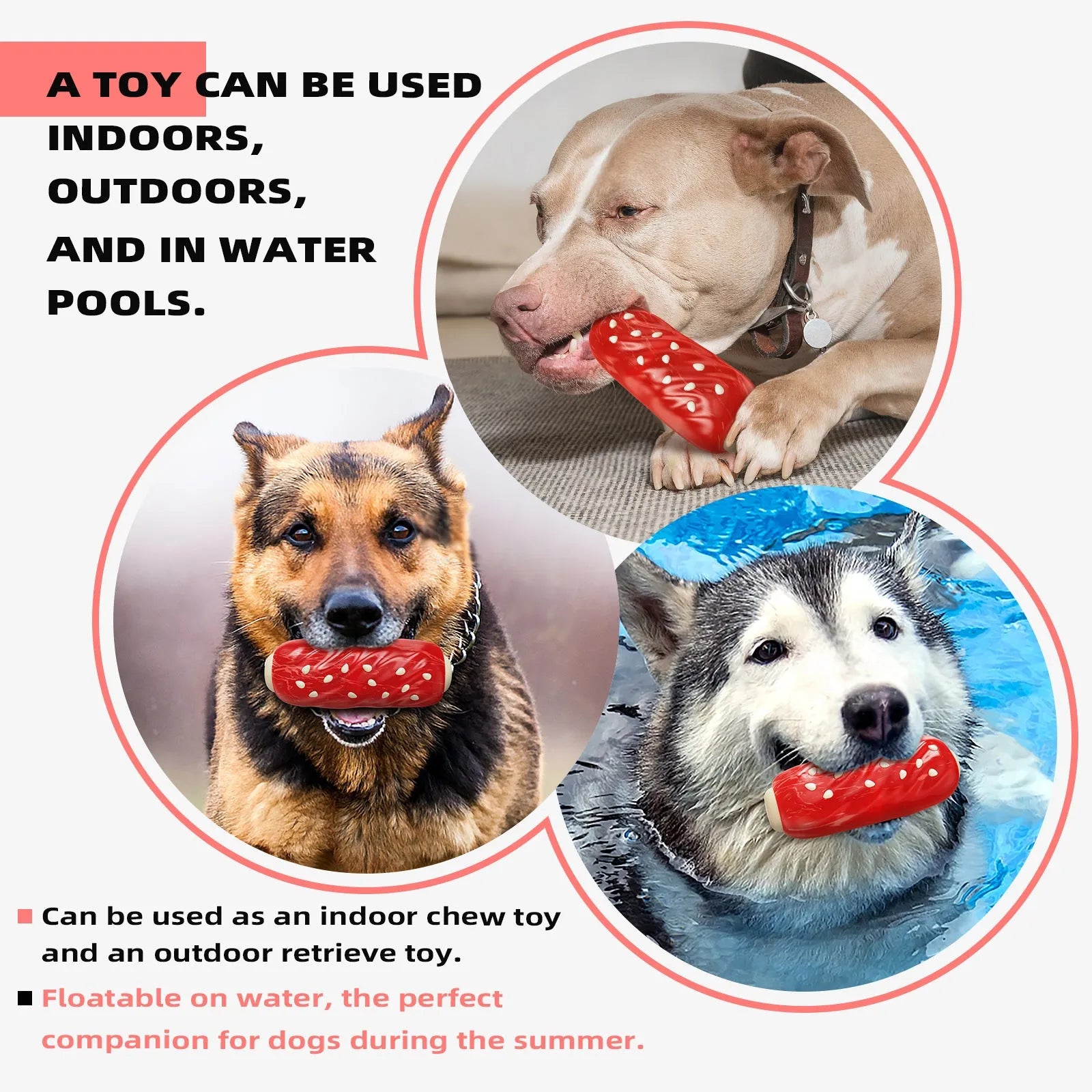 Primary colour plastic dog chew toy with molar rod snack holder and replaceable glue toothbrush attachment