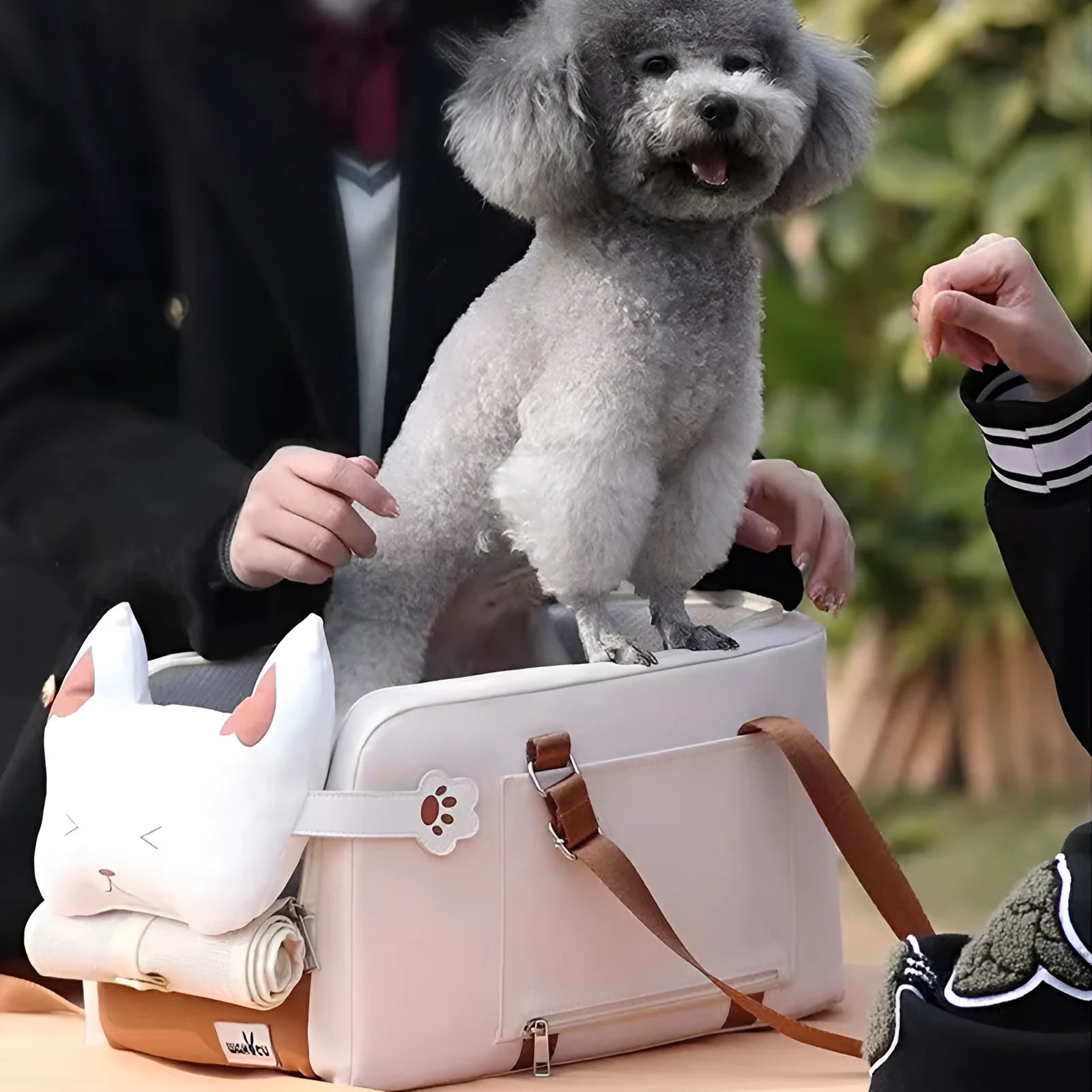 Hard-sided beige pet carrier with shoulder strap for cats and small dogs
