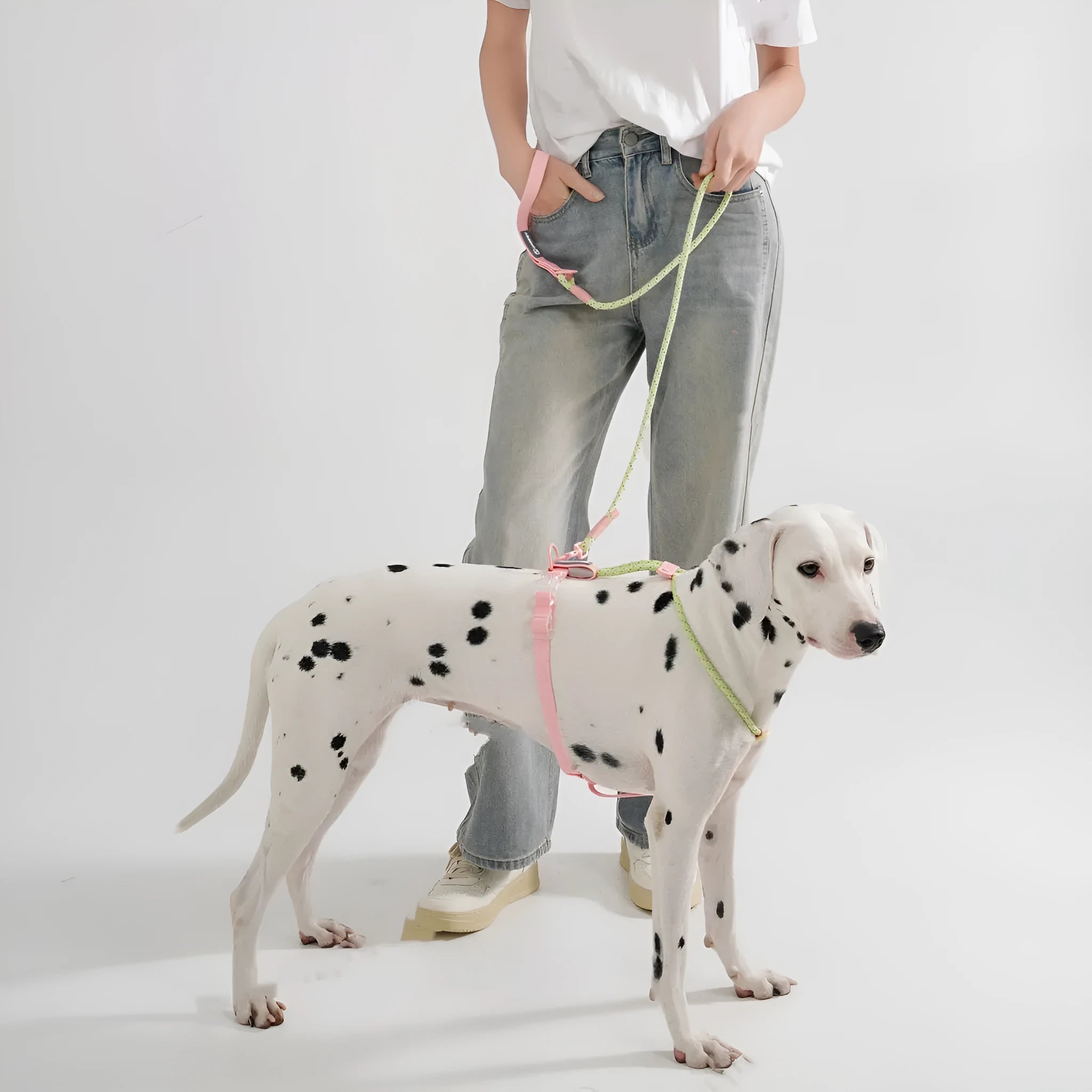 Solid colour PVC dog hand holding rope leash in Dark Red Purple Yellow or Taoyao Green.