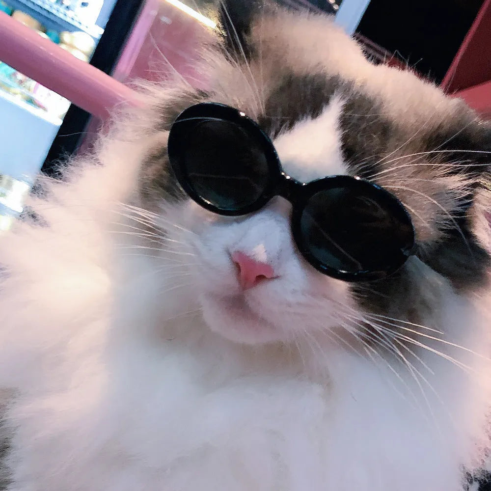Pet dog cat multi-color sunglasses with UV380 protection PC lens resin frame round style