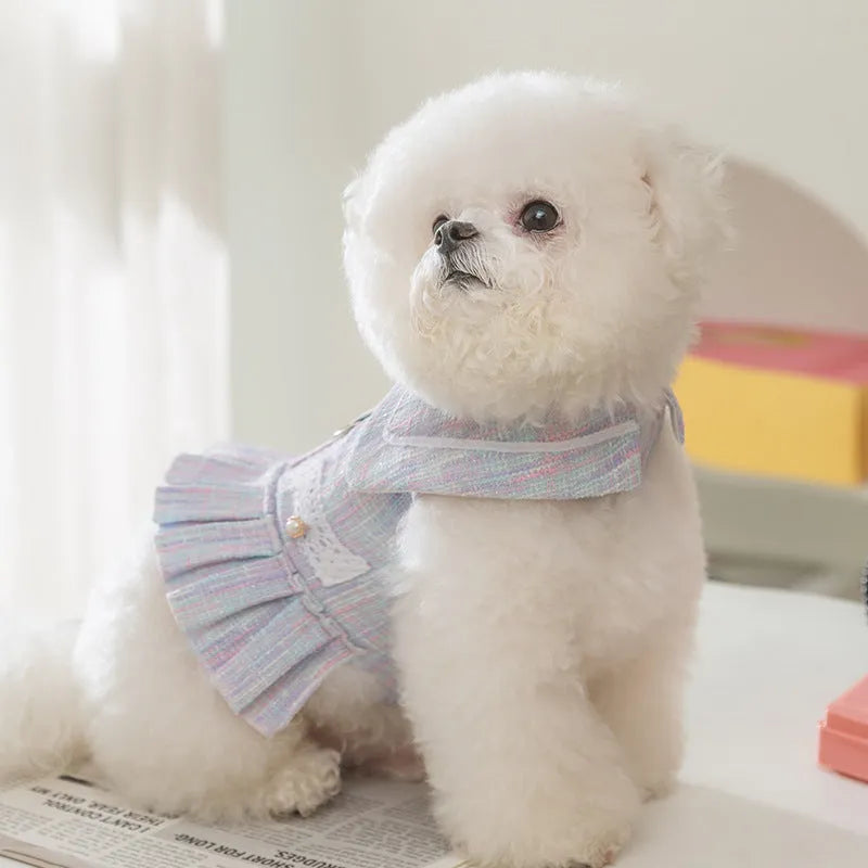 Polyester pet clothes for cats and small dogs in purple and pink colours showing four size options