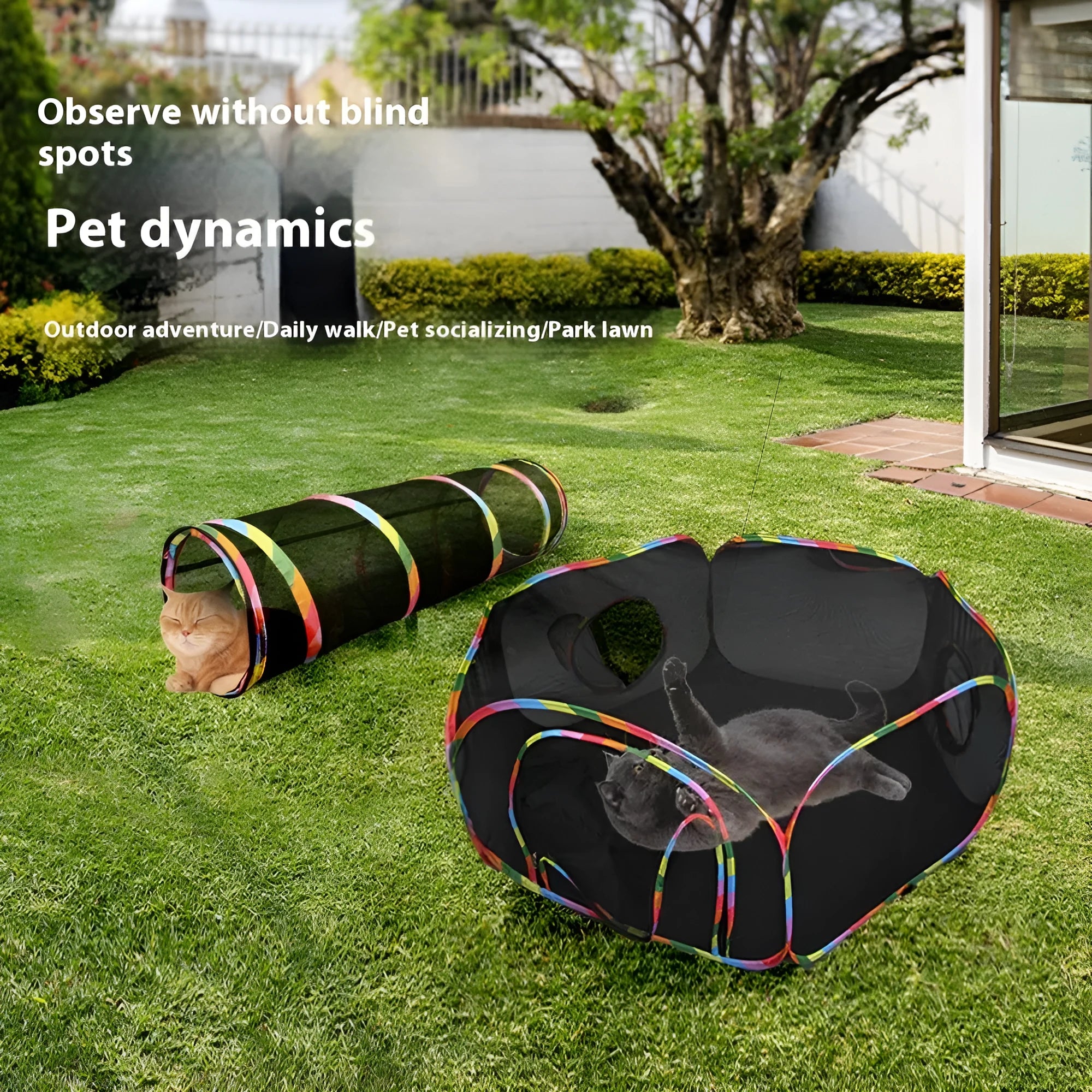 Foldable mesh cat roll cage showing multiple shape configurations including hexagonal, tee, and tent designs