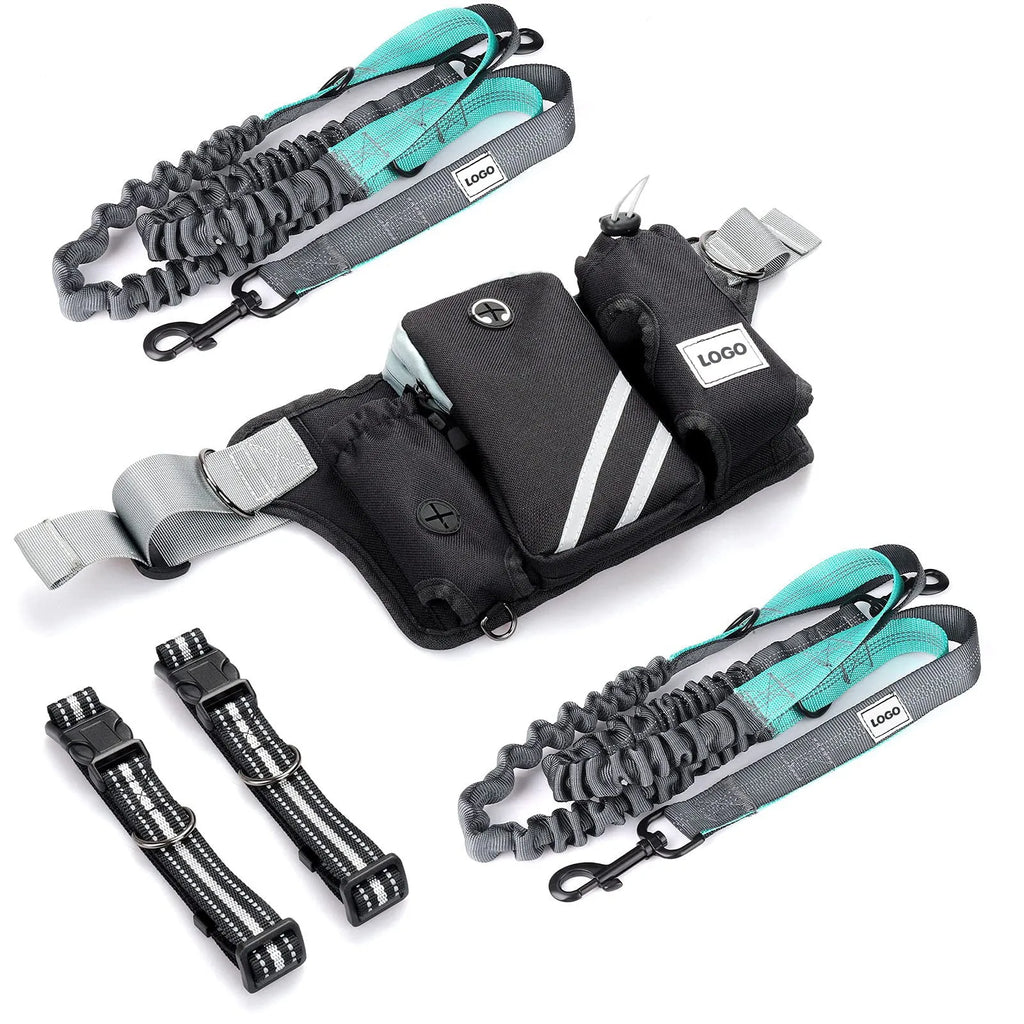 Black nylon outdoor pet training bag set with waist bag, dog leash, and collar components