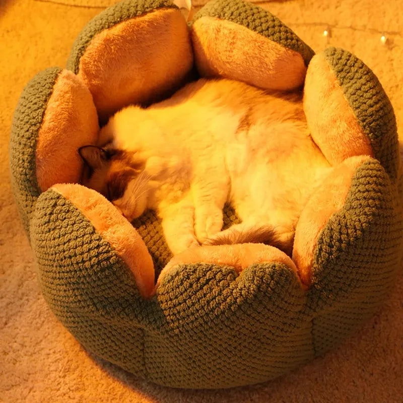 Green cactus-shaped enclosed pet kennel with soft plush interior, shown on a hardwood floor.