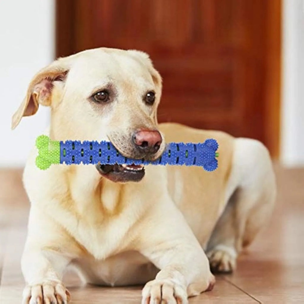 Blue-green silicone dog dental chew toy with brush head design and gum massage nodules for teeth cleaning