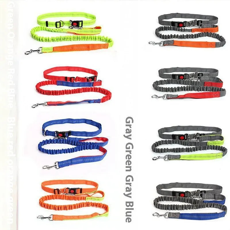 Reflective nylon dog leash with elastic sling in multiple colour options for outdoor running