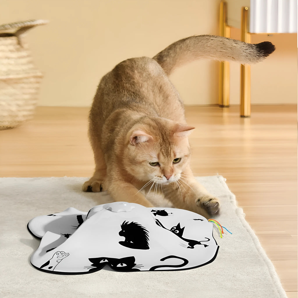 Plastic self-hi relief cat toy with automatic bouncing mechanism