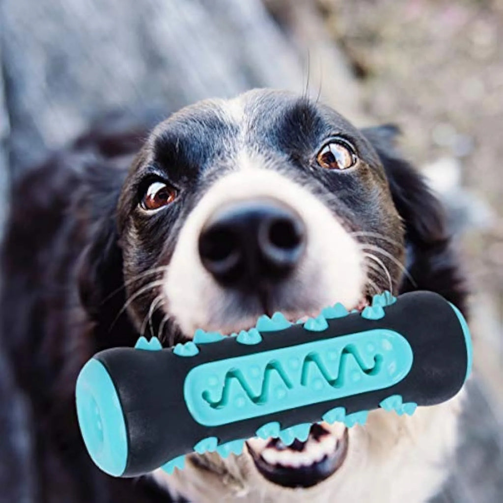 Natural rubber dog toothbrush chew toy in blue colour, showing textured surface for cleaning teeth.