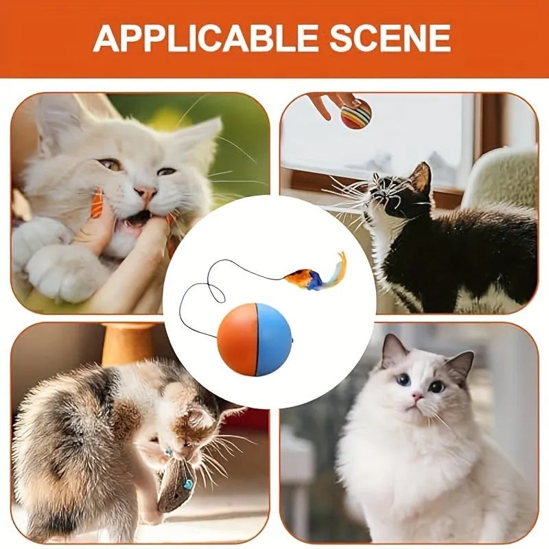 Interactive cat toy with blue and orange exercise ball and attached plush mouse