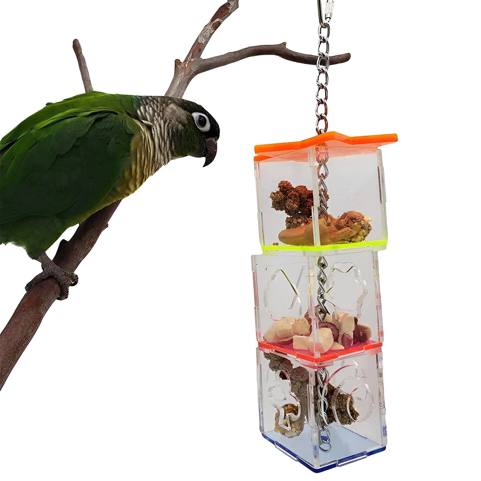 Clear acrylic bird foraging toy 32cm tall with 5x5cm base for parrots