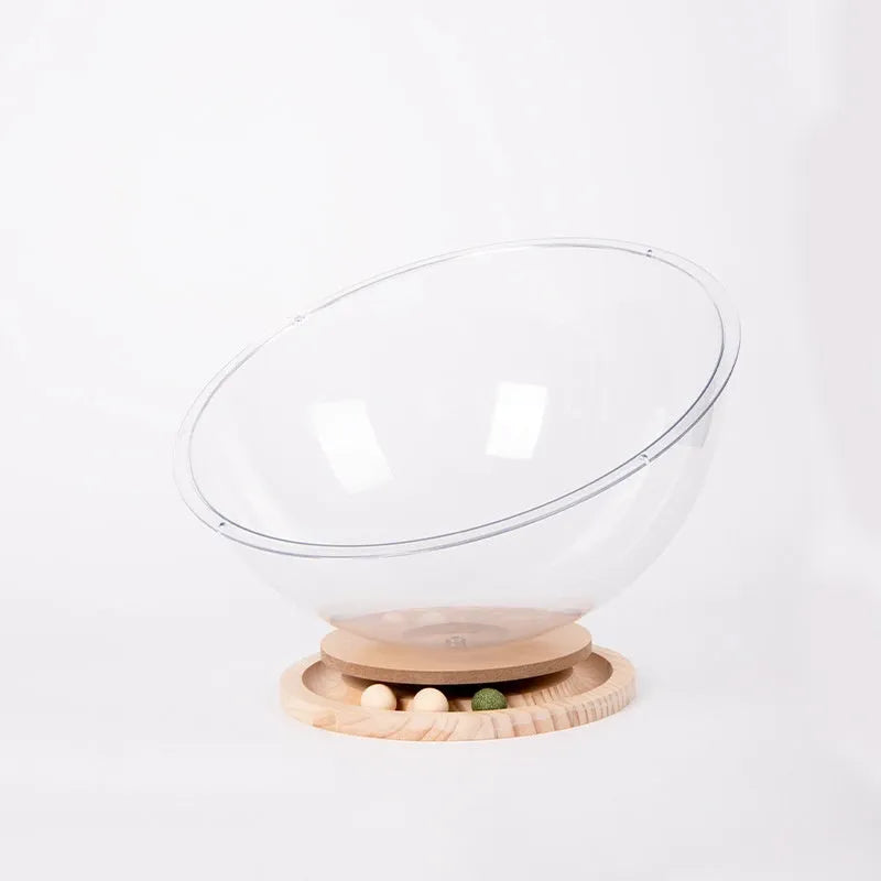 Transparent acrylic cat space capsule bathtub bed or cage on a wooden floor.