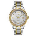 Men's automatic mechanical watch with luminous hands, waterproof construction, and gold case