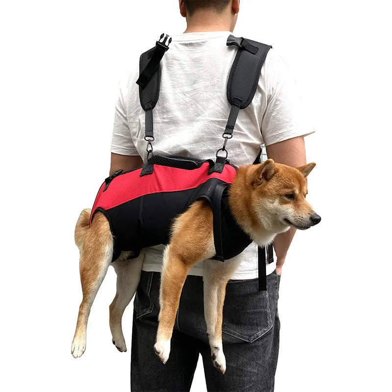 Soft Oxford cloth pet backpack and airborne stretcher carrier in black with blue trim