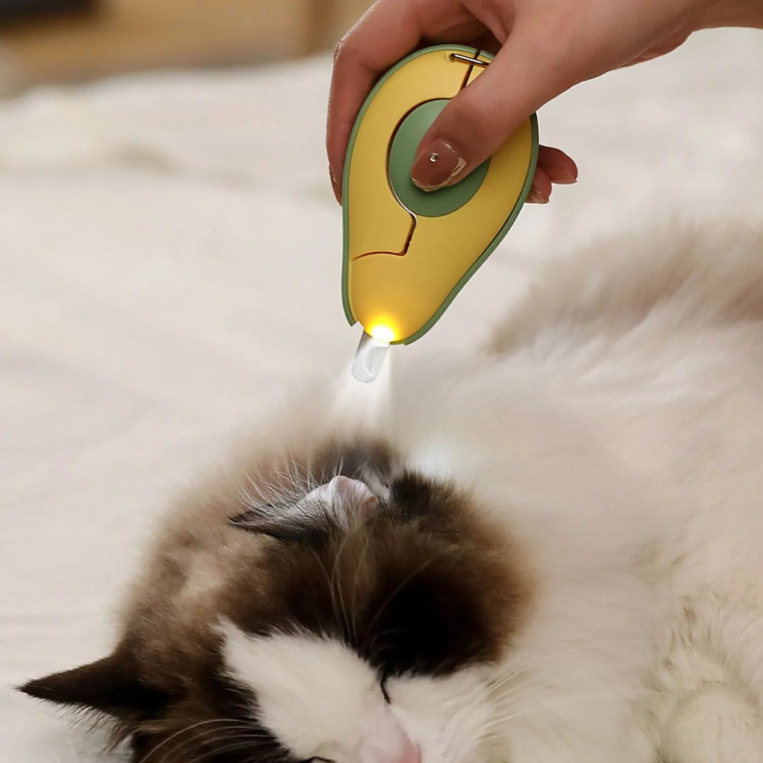 LED pet nail clipper with safety guard in green, pink and white colours for small dogs and cats